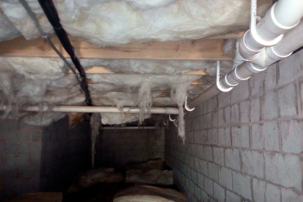 before sea isle city crawlspace services