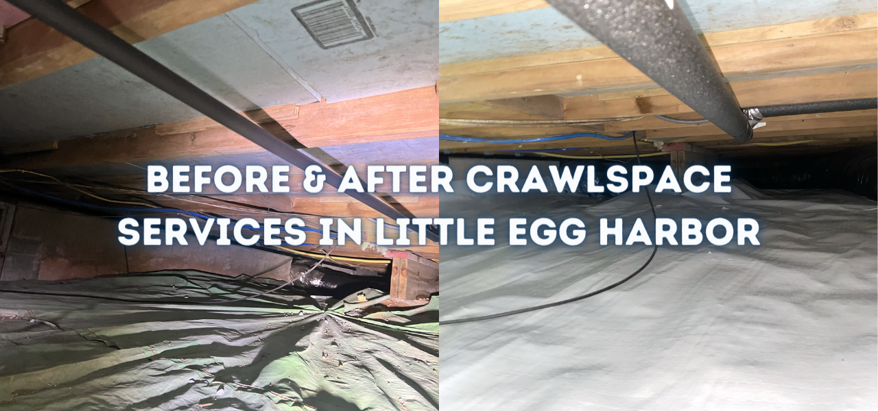 before and after little egg harbor crawlspace services