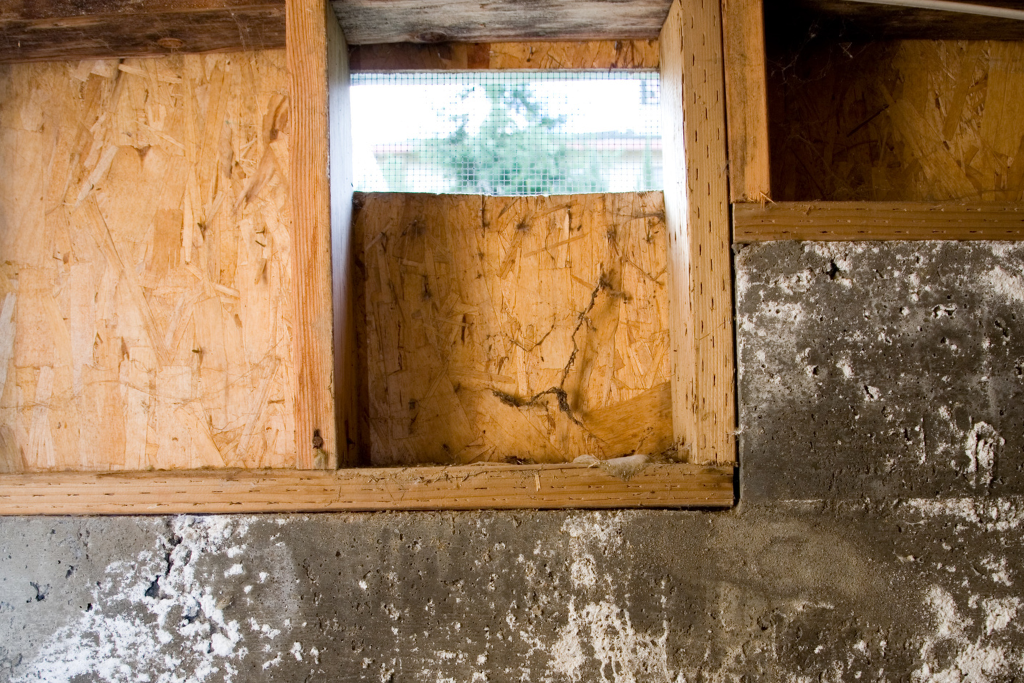 crawlspace with poor ventilation not optimized for energy efficiency
