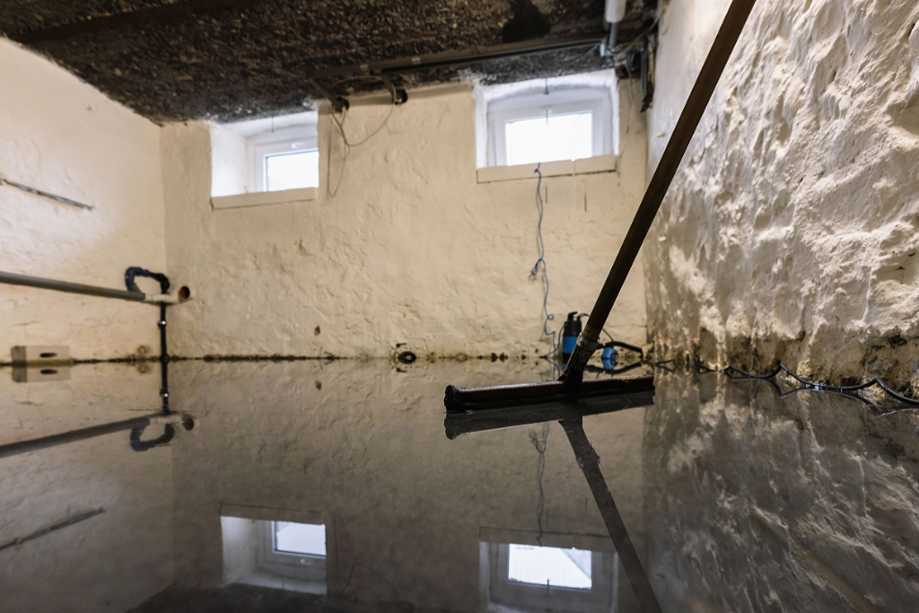crawlspace flooding and mold on the walls