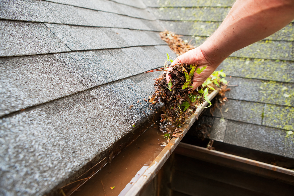 spring cleaning tips for moisture management — cleaning out gutters