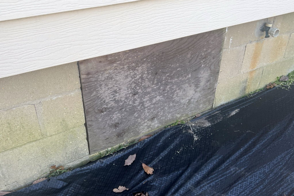 before brick township crawlspace services