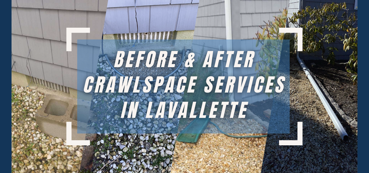 before and after lavallette crawlspace services