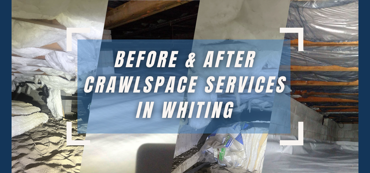 before and after whiting, new jersey crawlspace services