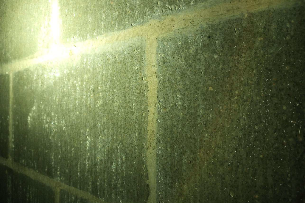 before Cape May Court House crawlspace services