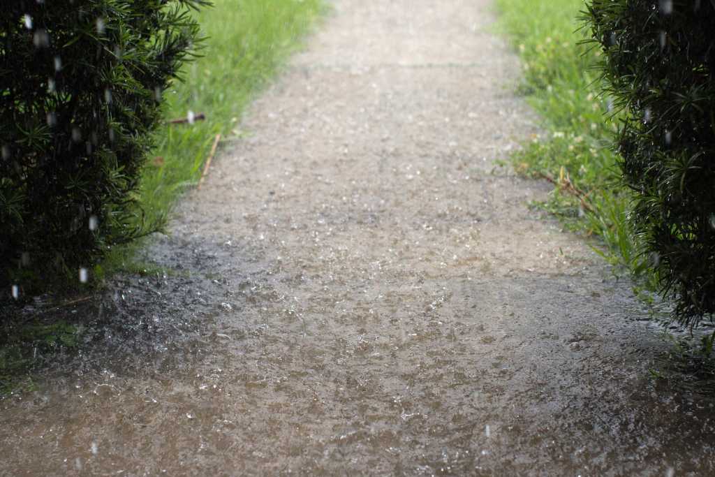 yard flooding due to poor yard drainage and grading