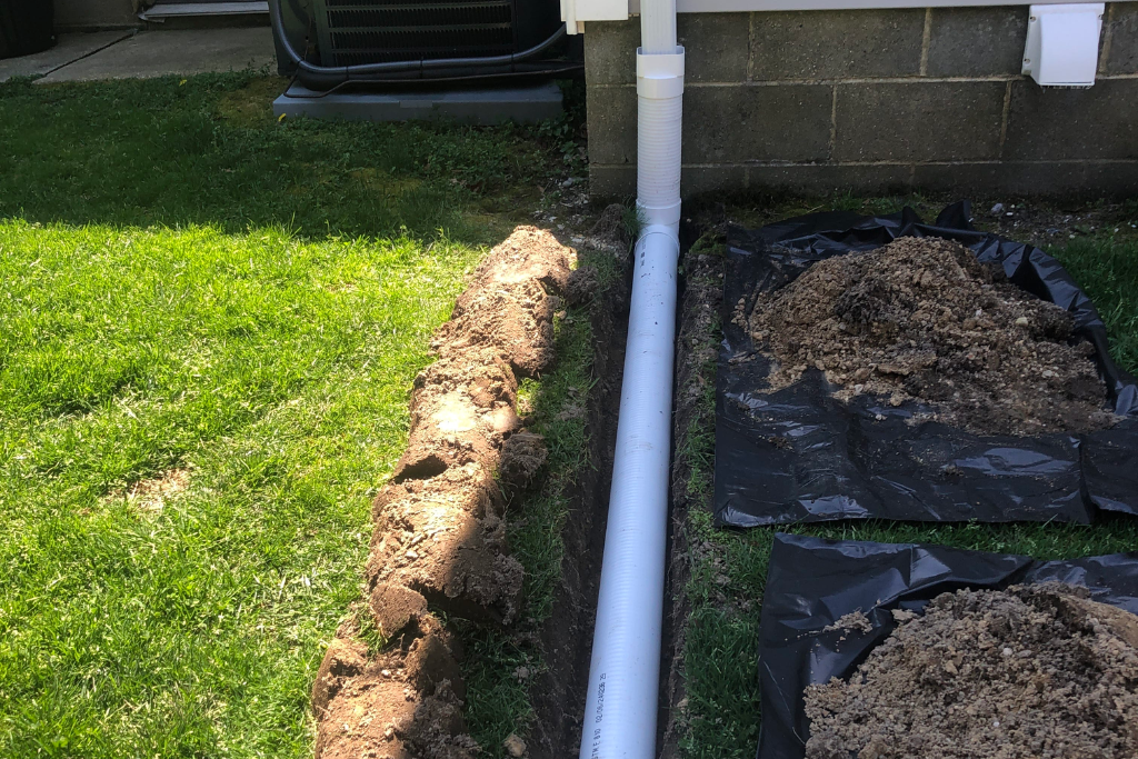 after Cape May Court House crawlspace services