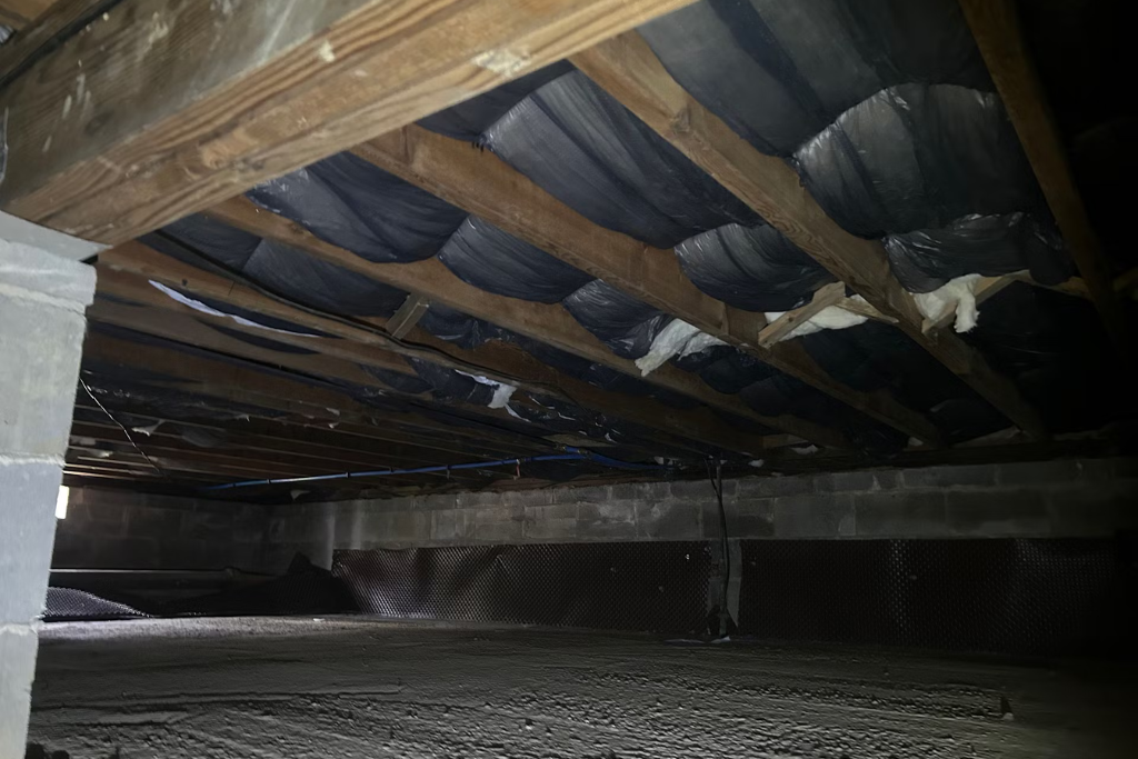 summer crawlspace care