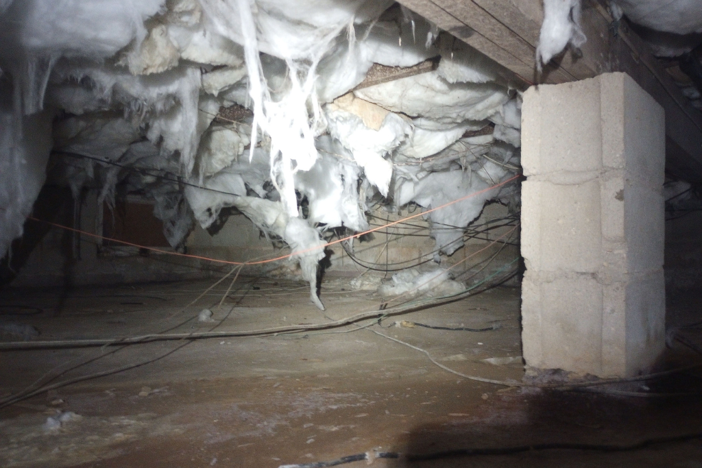 before Point Pleasant crawlspace services
