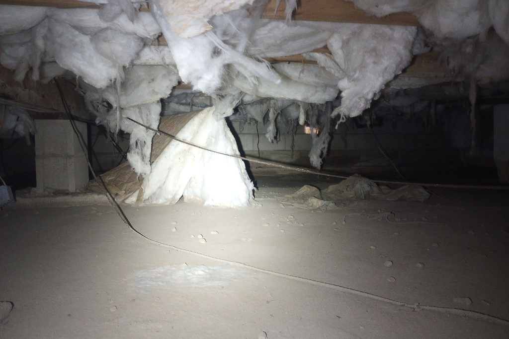 before Point Pleasant crawlspace services