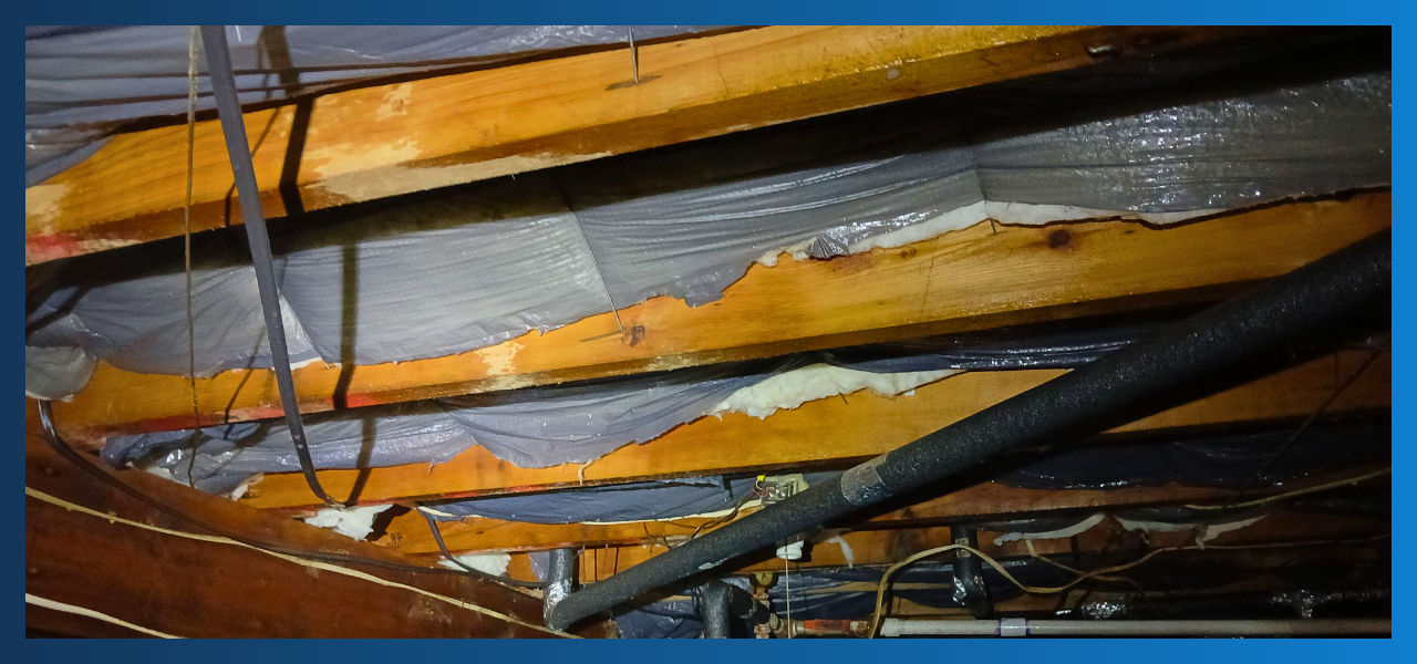 before and after crawlspace services in Forked River, New Jersey