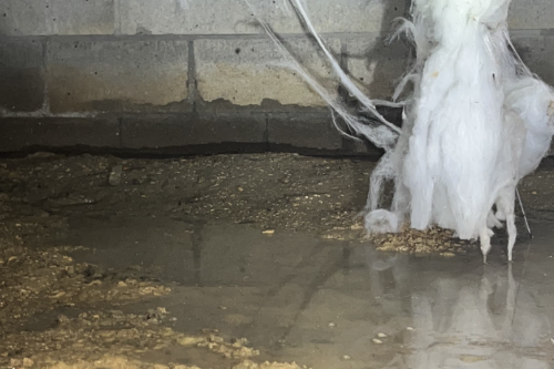 before vapor barrier